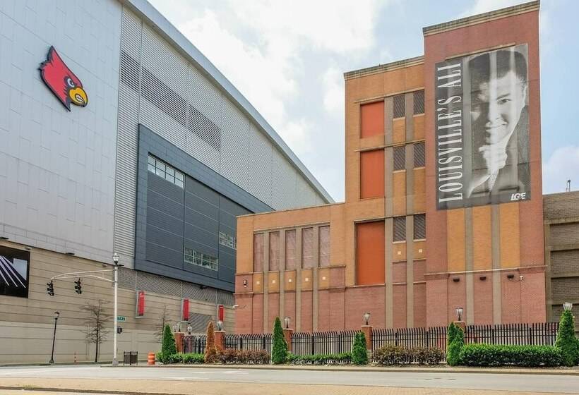 Two Stunning Nulu Cozysuites