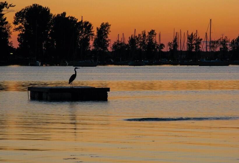 Waterfront North Hero Home W/ Screened Porch