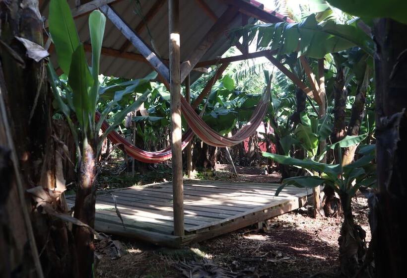 Banana Eco Camp