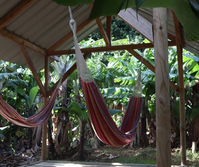 Banana Eco Camp