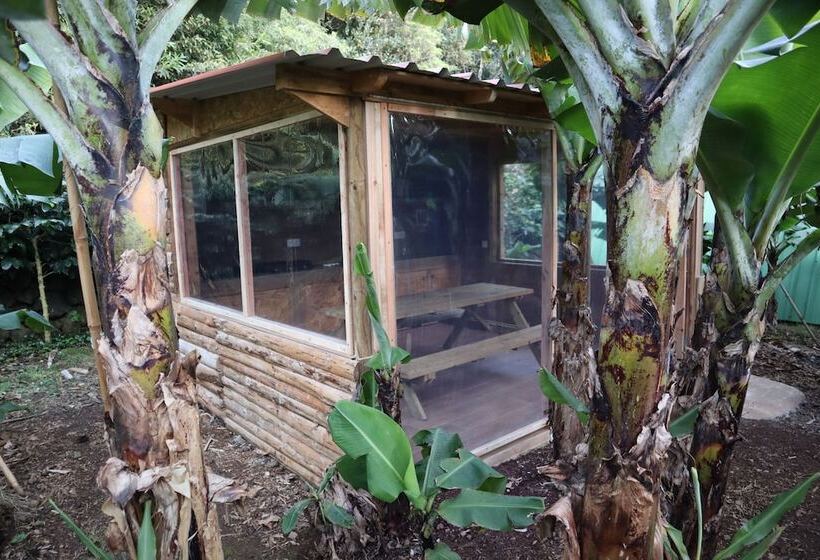 Banana Eco Camp
