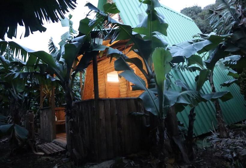 Banana Eco Camp