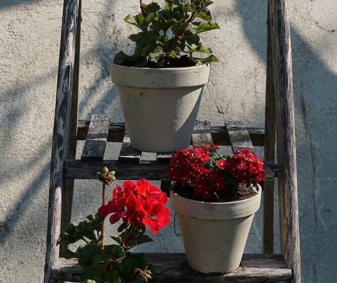 Bed and Breakfast Chambres D Hôtes Le Chemin