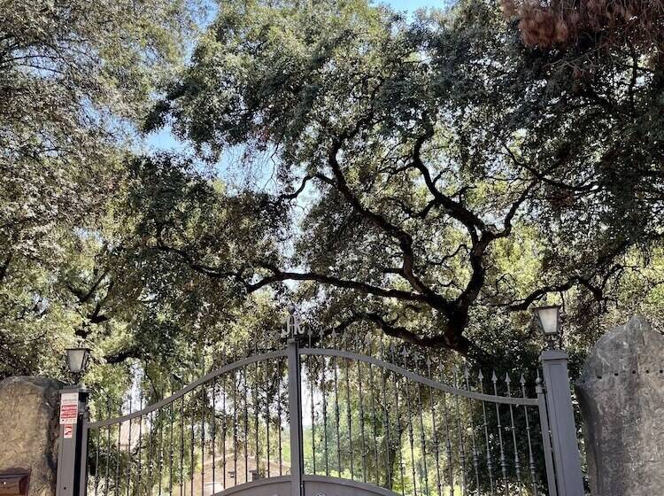 Masia Can Viver   Olive Oil Tourism B&b