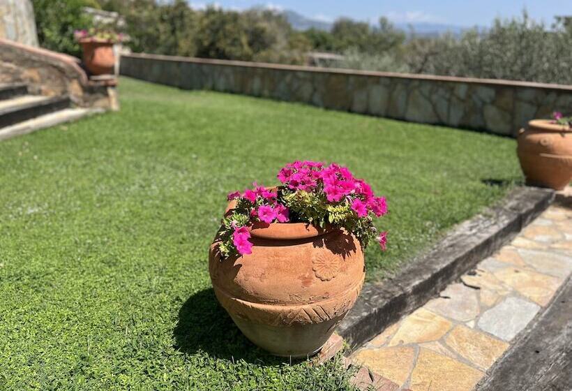 Masia Can Viver   Olive Oil Tourism B&b