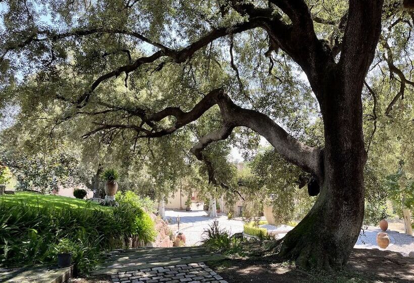 Masia Can Viver   Olive Oil Tourism B&b