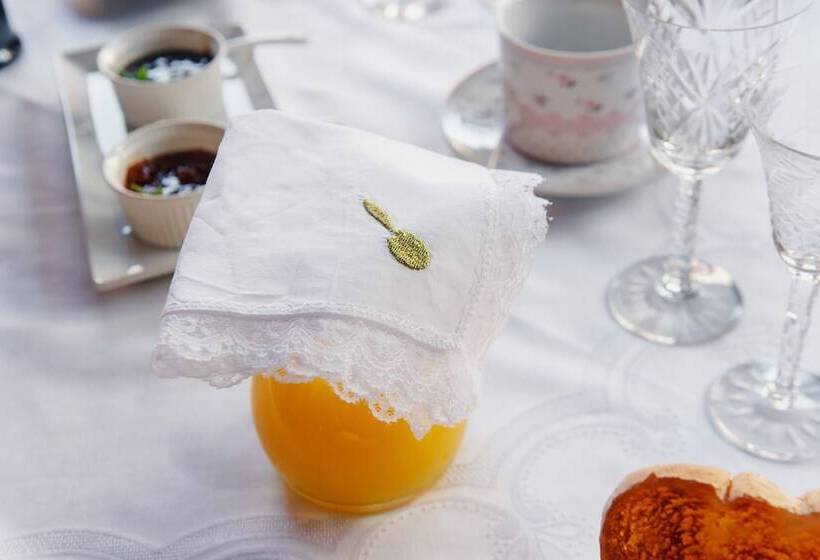 Masia Can Viver   Olive Oil Tourism B&b