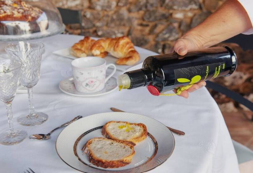 Masia Can Viver   Olive Oil Tourism B&b