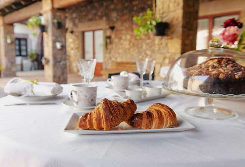 Masia Can Viver   Olive Oil Tourism B&b