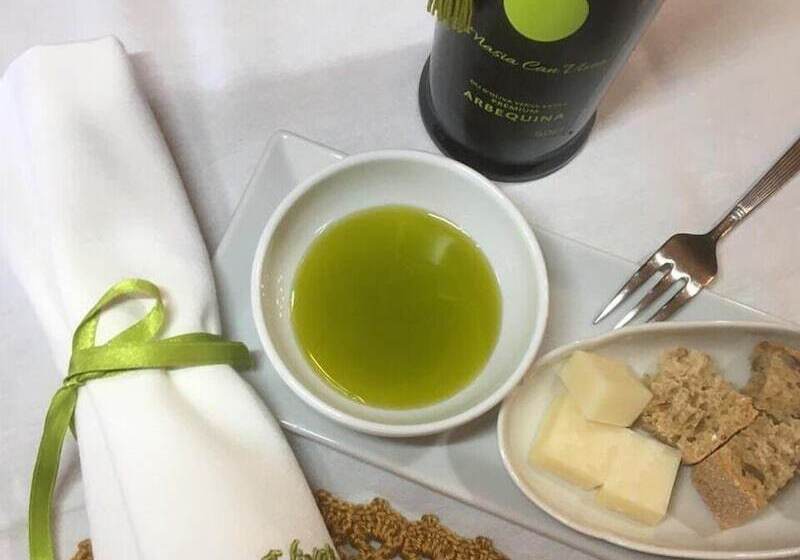 Masia Can Viver   Olive Oil Tourism B&b