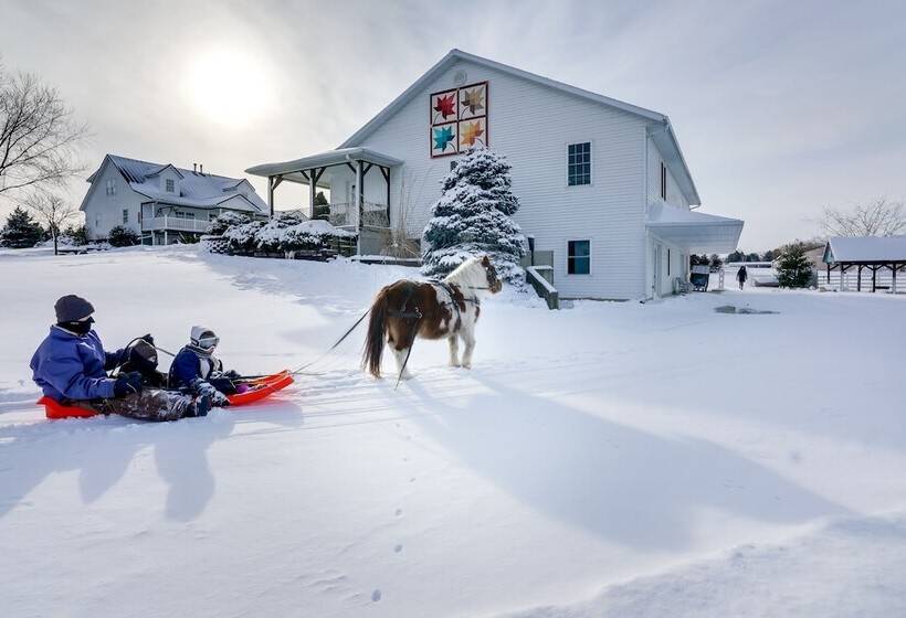 Bright Shipshewana Gem W/ Shuffleboard Table!