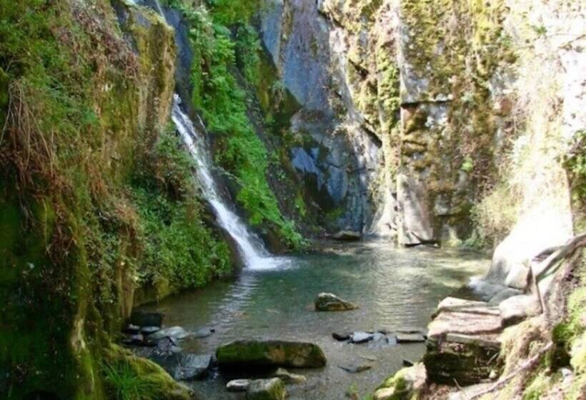 Coja Flores, Beautiful,river Beaches & Mountains
