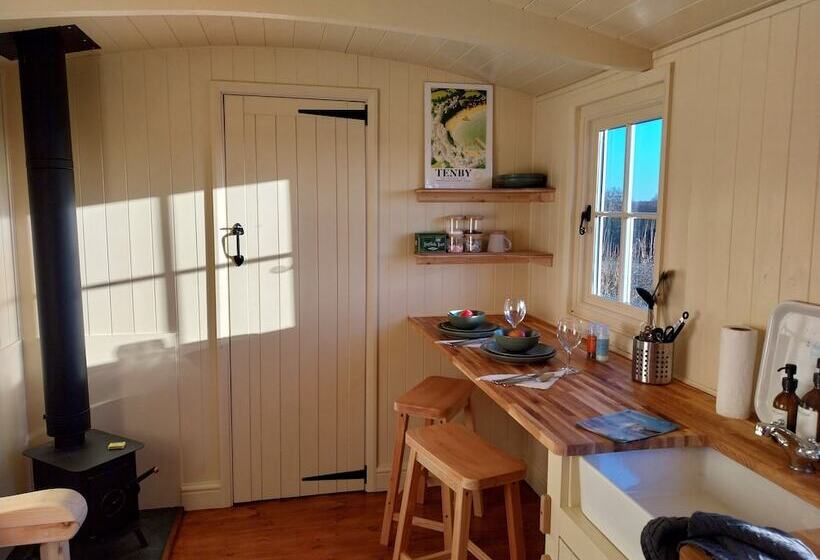 Cosy Shepherds Hut In Carmarthen