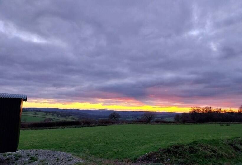 Cosy Shepherds Hut In Carmarthen