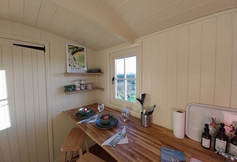 Cosy Shepherds Hut In Carmarthen