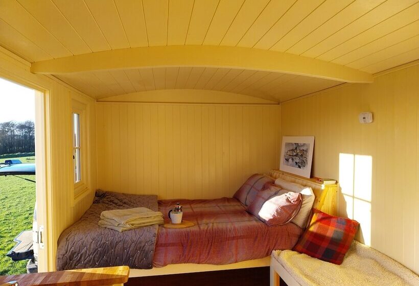 Cosy Shepherds Hut In Carmarthen