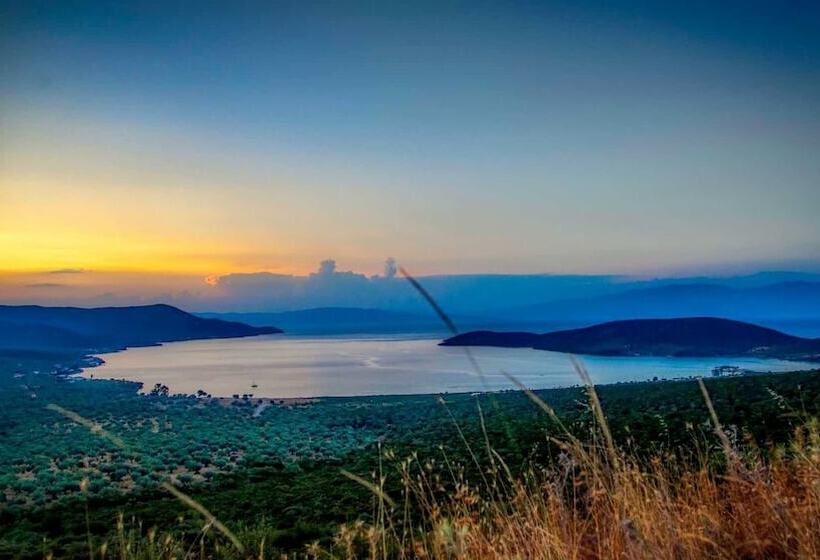 Goddesses Villa 2 In Nies