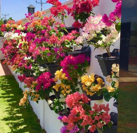 בית מלון כפרי Avonil Resort Yala