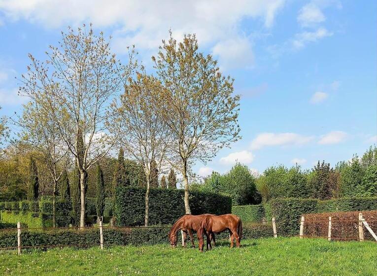 호텔 Domaine Du Bosc Roger