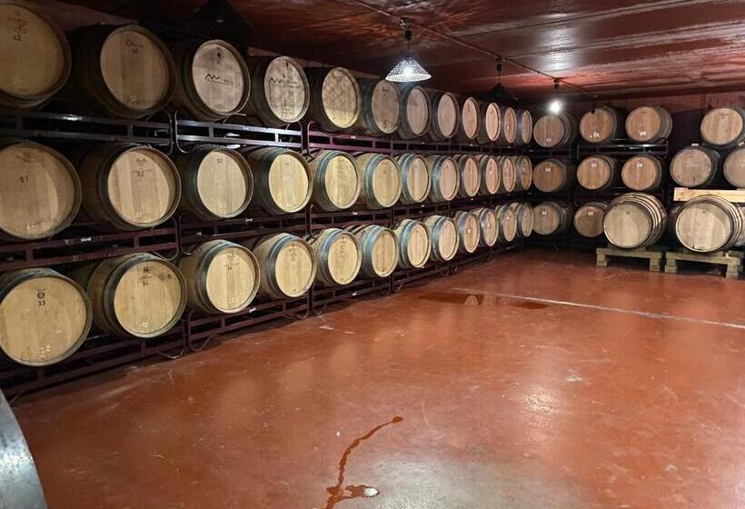 Отель Finca Malvasia   Adults Only
