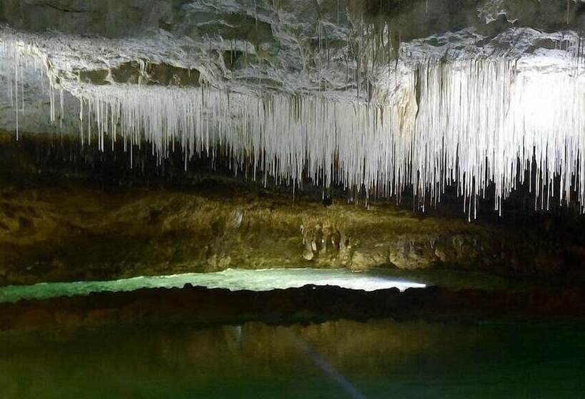 Pension Chambres D Hôtes & Studio L Hosting Noix