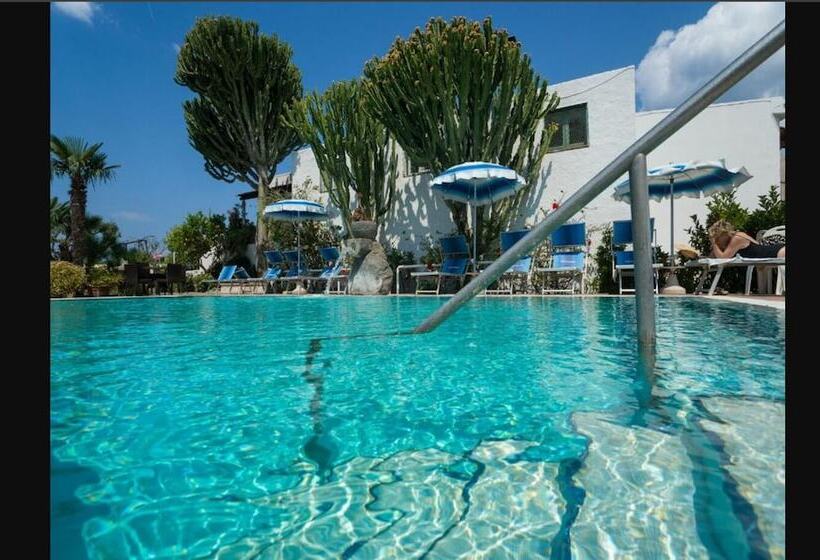 פנסיון Room In B&b   Standard Double Or Twin Room In Ischia Per 2 People