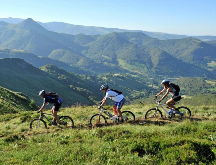 住所  Olydea Vorey Sur Arzon