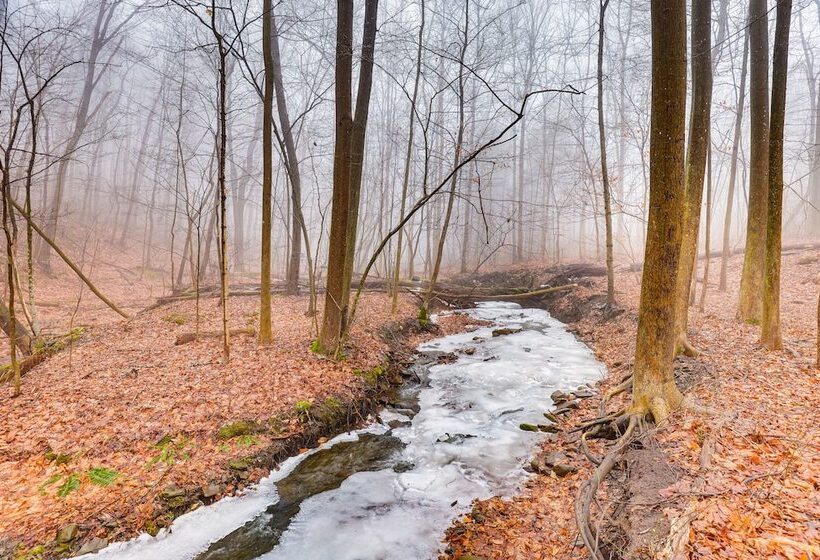 Secluded Naples Cabin W/ Deck & Stream Views