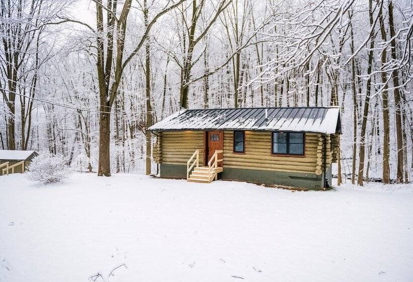 Secluded Naples Cabin W/ Deck & Stream Views