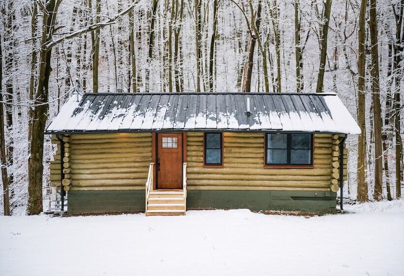 Secluded Naples Cabin W/ Deck & Stream Views