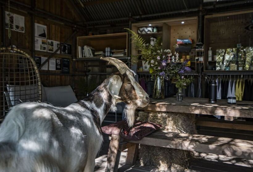 Stunning Cornish Tipi With Sea Views