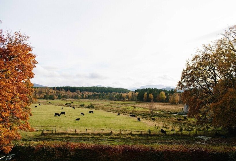 The Dell Of Abernethy