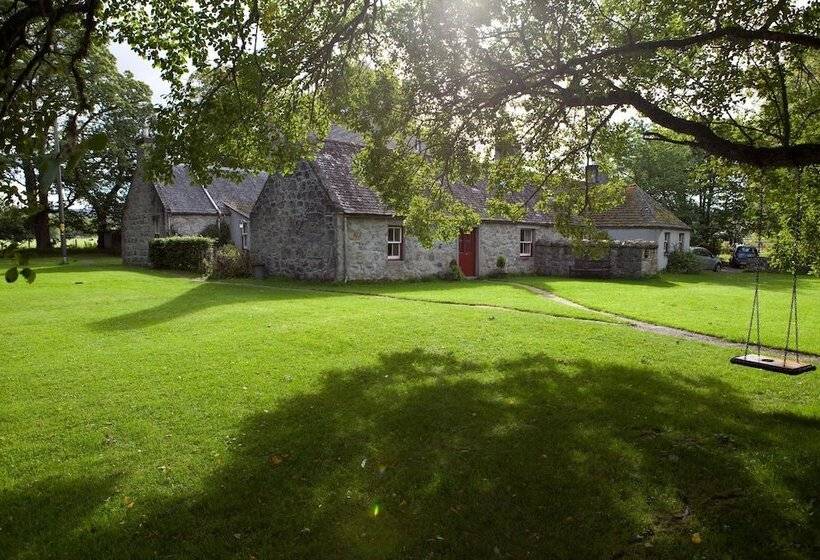 The Dell Of Abernethy