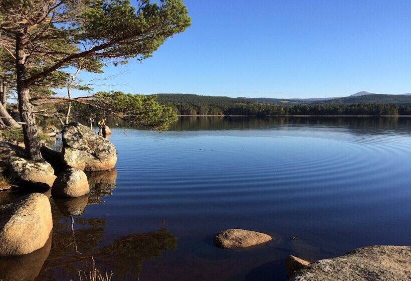 The Dell Of Abernethy