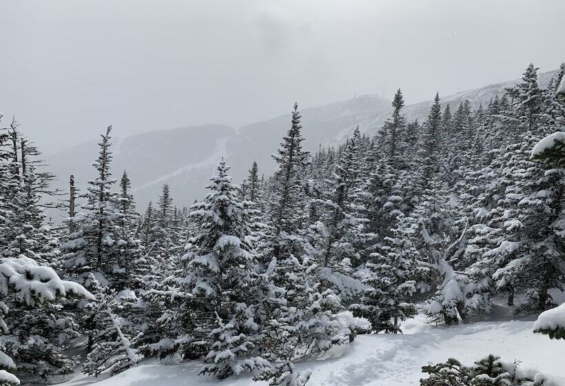 مبيت وإفطار Mad River Inn