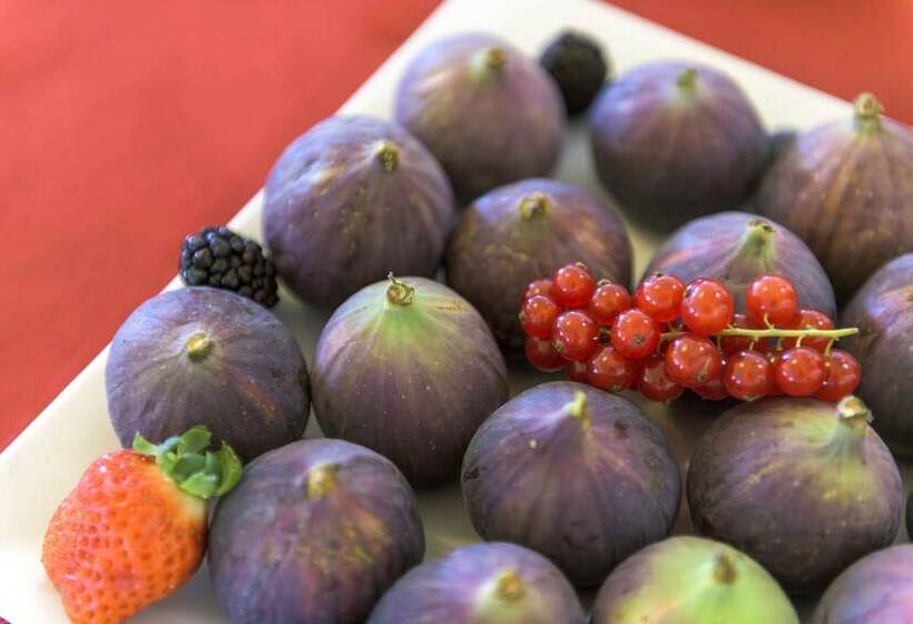 客栈  Regina Del Garda Suite