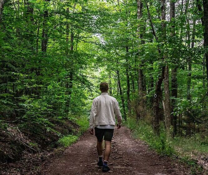 Отель Deer Mountain Inn