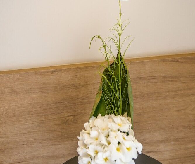 בית מלון כפרי Corveta Pousada E Restaurante