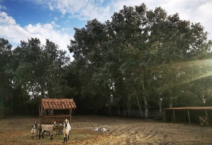 هتل روستایی Quinta Do Louredo   évora