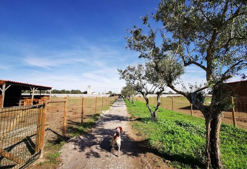 هتل روستایی Quinta Do Louredo   évora