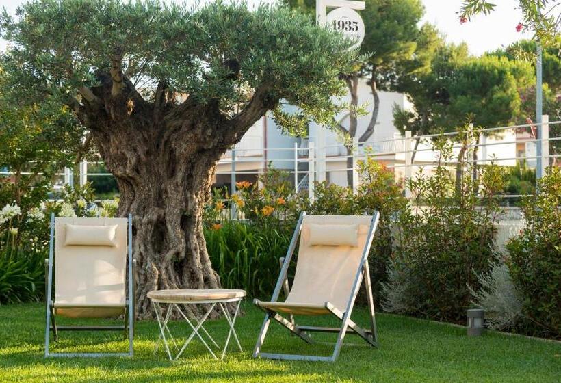 1935 Hotel Boutique By Terraza   Adults Recommended