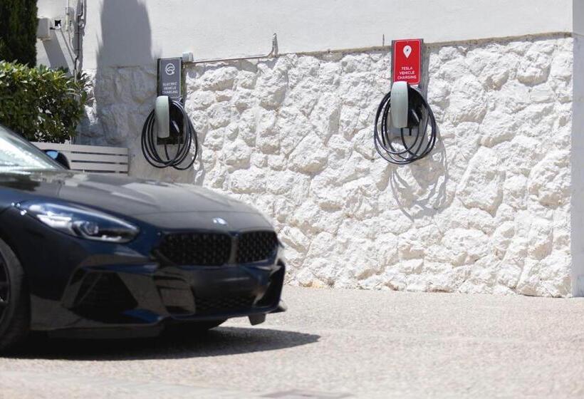 1935 Hotel Boutique By Terraza   Adults Recommended