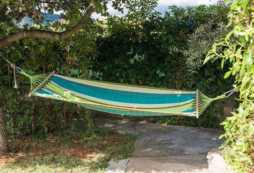 Ideal Property Mallorca   Finca Alegre