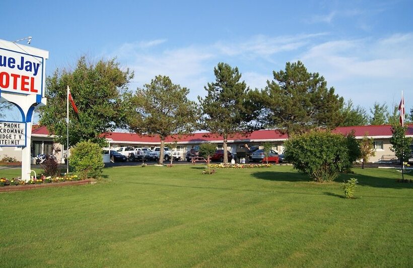 Blue Jay Motel