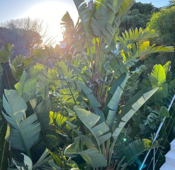 Casa Bodhi Boutique Hotel & Spa