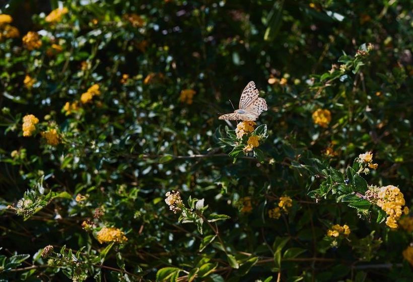 Eleia Seafront Suites & Villas