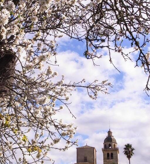 Embat Alberg Juvenil   Hostel