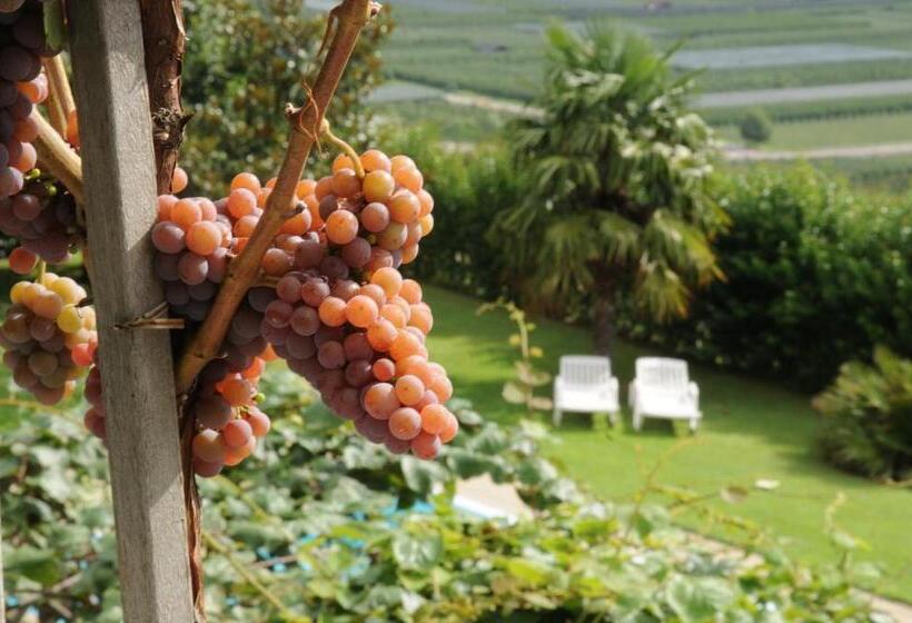 Garni Hotel Ritterhof