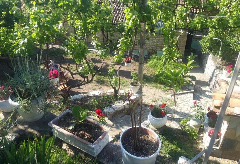 Guesthouse & Hostel Lorenc
