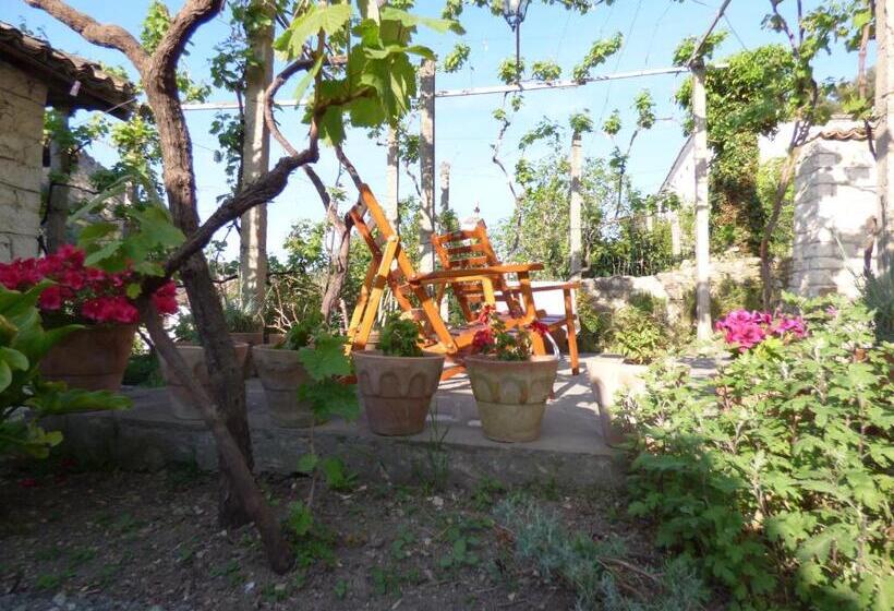 Guesthouse & Hostel Lorenc